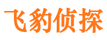 嘉峪关商务调查